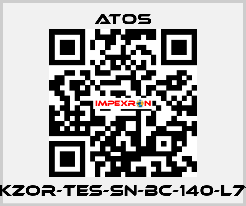 DLKZOR-TES-SN-BC-140-L71/Y Atos