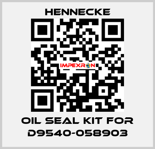 oil seal kit for D9540-058903 Hennecke