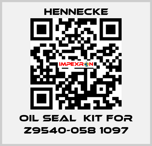 oil seal  kit for Z9540-058 1097 Hennecke