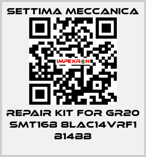 Repair kit for GR20 SMT16B 8LAC14VRF1 B14BB Settima Meccanica