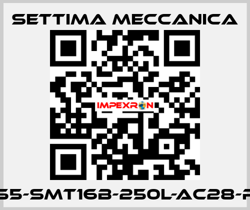 GR55-SMT16B-250L-AC28-RF2 Settima Meccanica