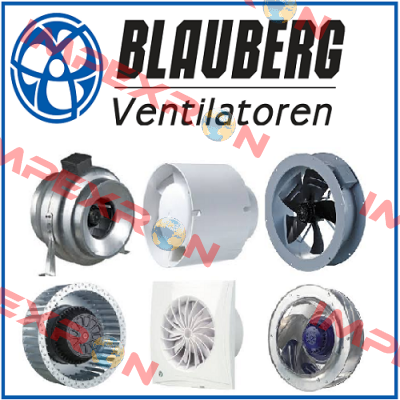 Q100MM /White Blauberg