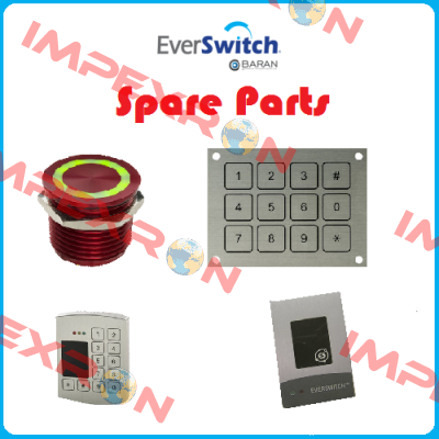 13700148 Everswitch