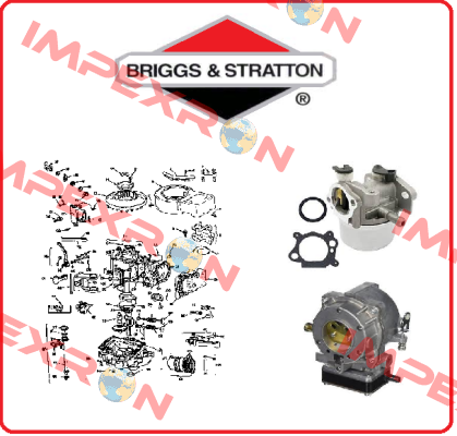 ENGINE PACKED SINGLE CARTON Briggs-Stratton