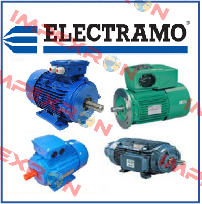 YE3-225M-2 Electramo