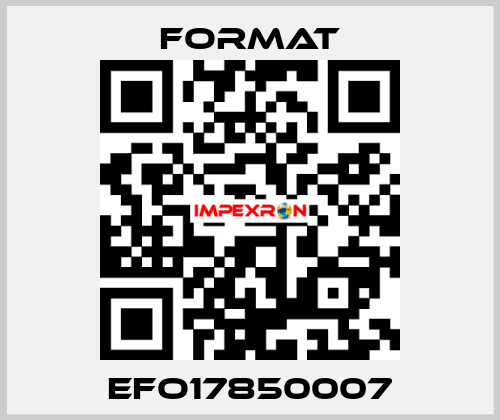 EFO17850007 Format