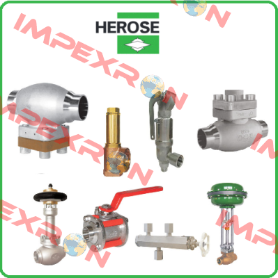 06401 DN15 (Repair kit) Herose