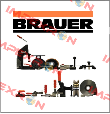 7751 Brauer