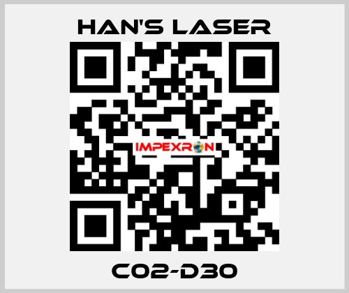 C02-D30 Han's Laser