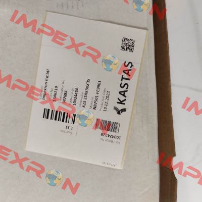 10014458 - K25 250X30X35 Kastas Sealing