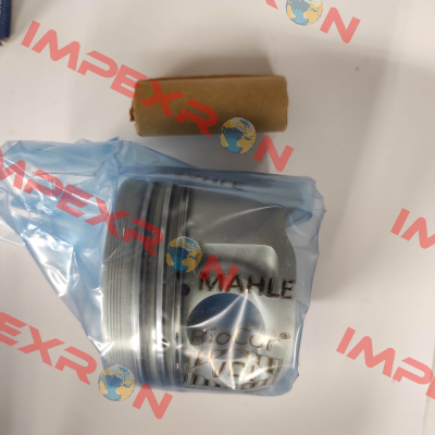 029 82 00 MAHLE