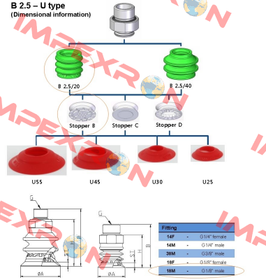 MS 20 B  Vmeca