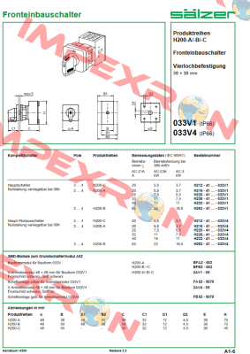 H263-41300-033V4 Salzer