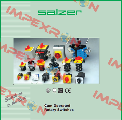 61131 Salzer